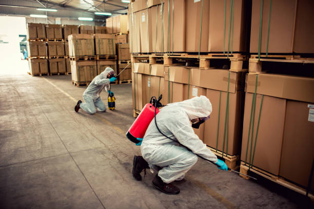 Best Rat Extermination Near Me  in Twin Lake, MI