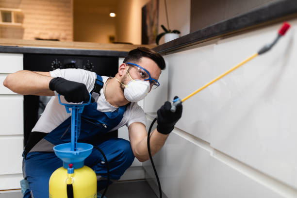 Best Flea Control Services  in Twin Lake, MI