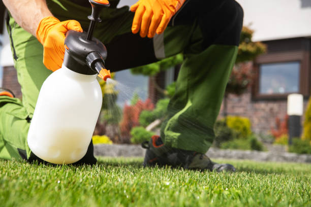 Best Mosquito Control Services  in Twin Lake, MI