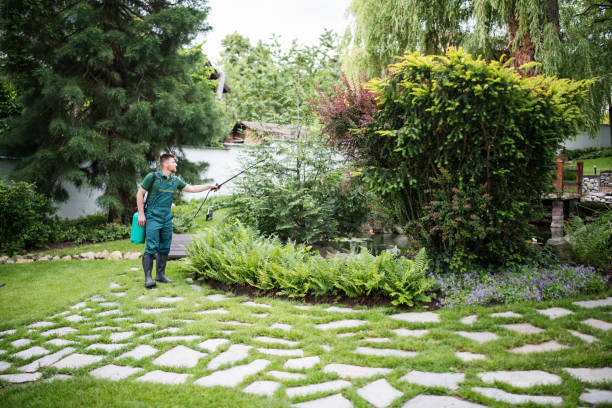 Best Affordable Pest Control Services  in Twin Lake, MI