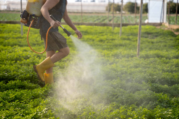 Best Local Pest Control Services  in Twin Lake, MI