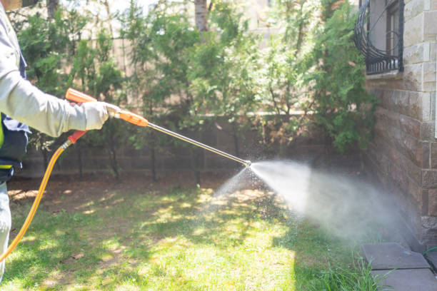 Best Wasp Removal Services  in Twin Lake, MI