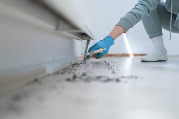 Best Ant Control Services  in Twin Lake, MI