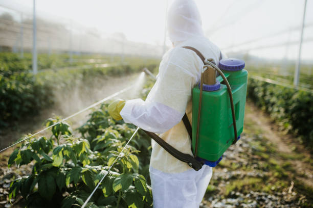 Best Best Pest Control Companies  in Twin Lake, MI